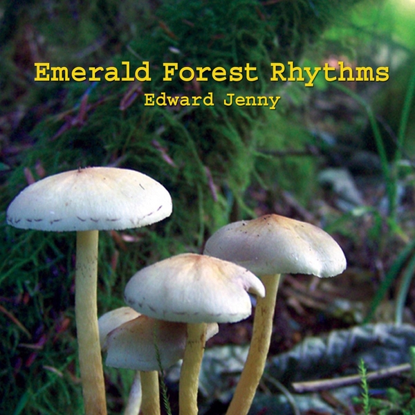 Emerald Forest Rhythms